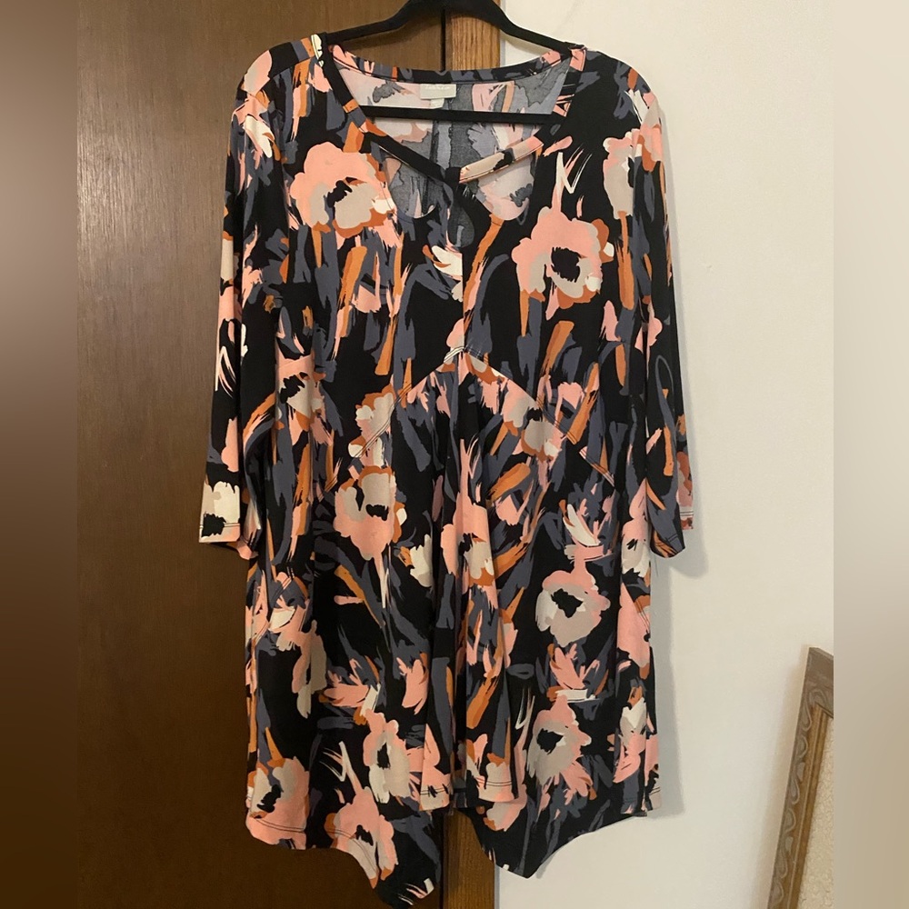 Zim and Zoe plus tunic/dress
